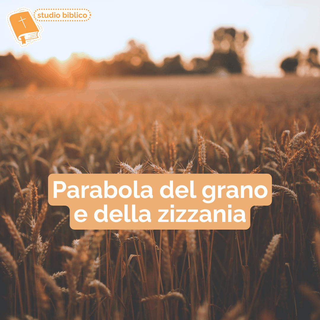 MATTEO 13: 24-30; 36-43 – PARABOLA DEL GRANO E DELLA ZIZZANIA